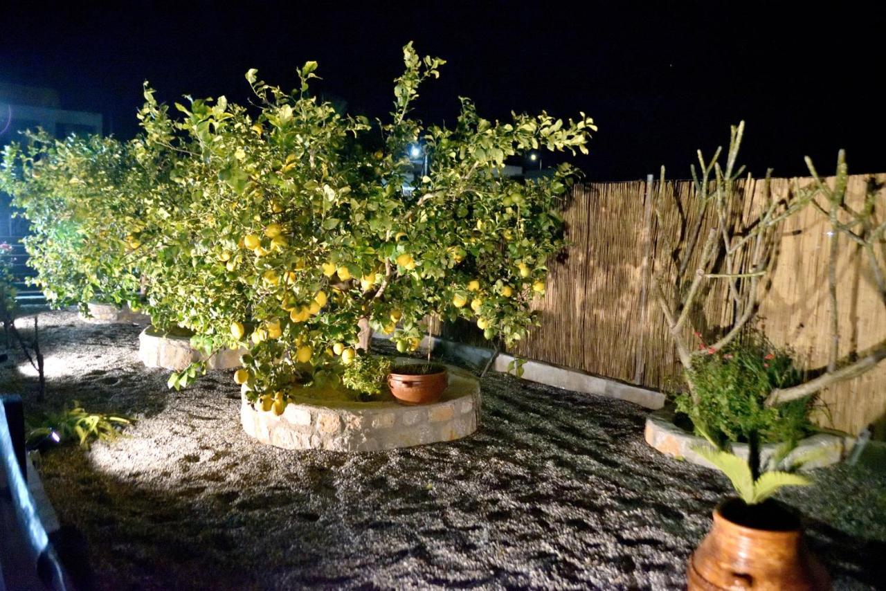 Plumeria House Archangelos  Zewnętrze zdjęcie