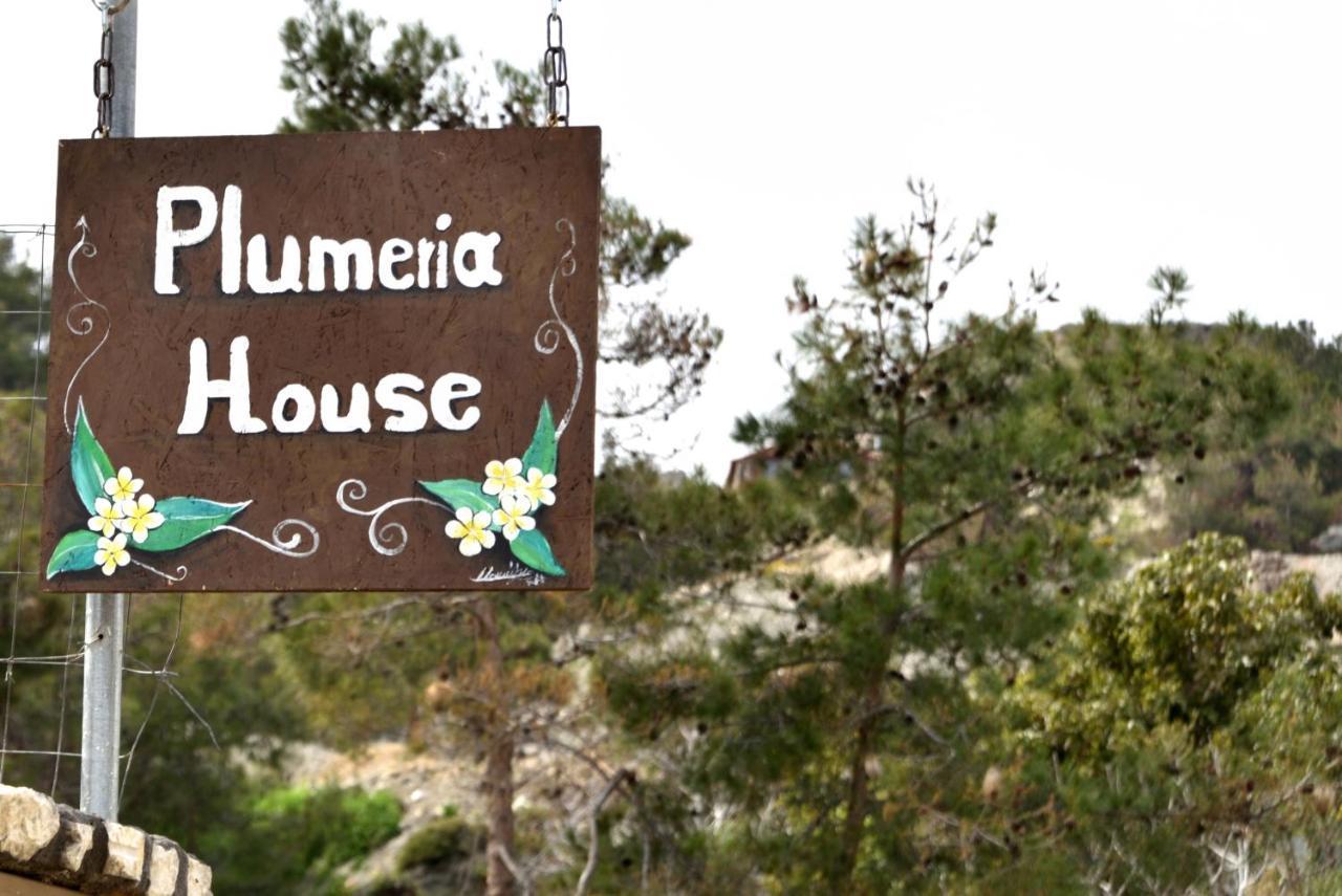 Plumeria House Archangelos  Zewnętrze zdjęcie